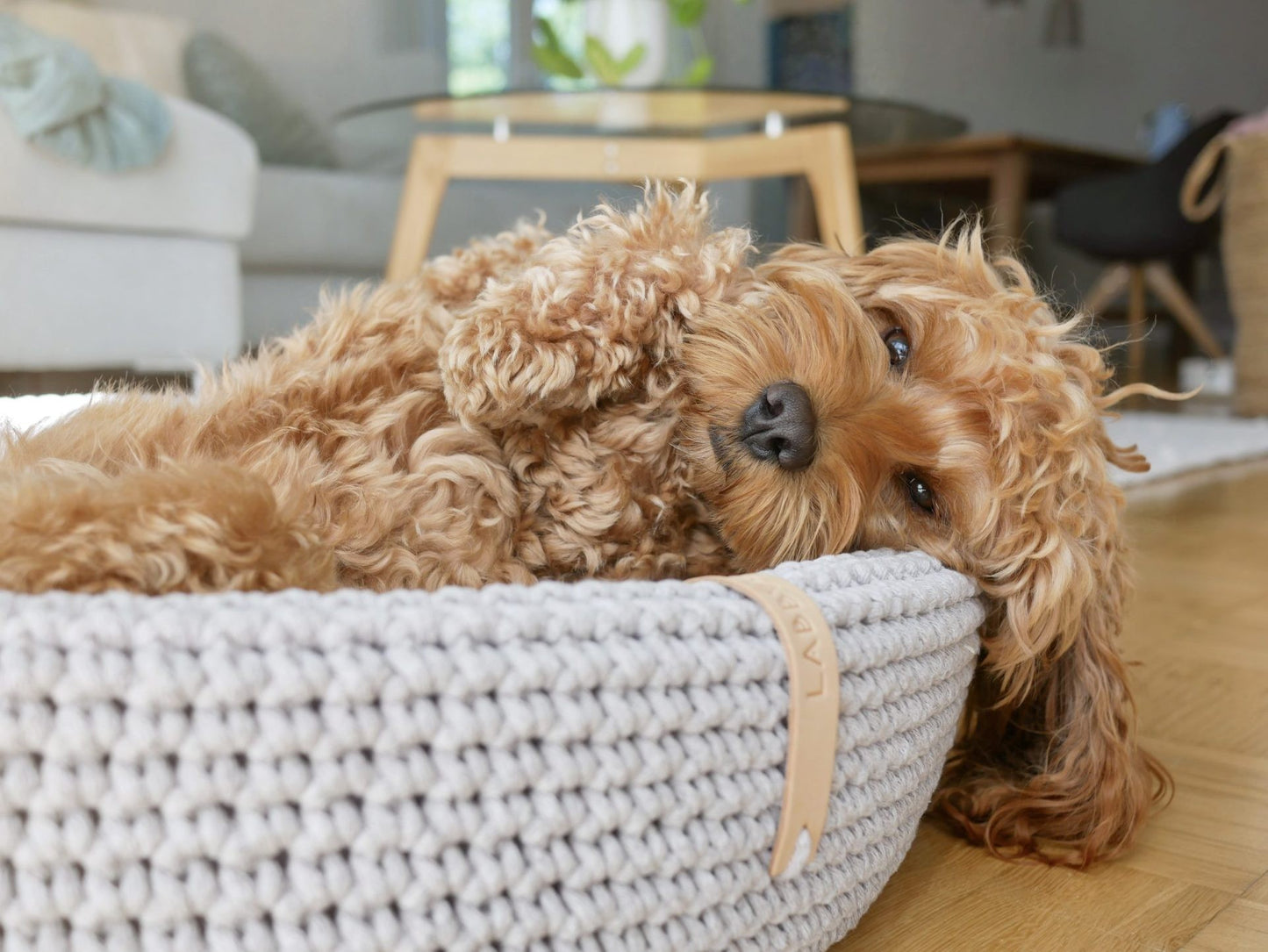 Lukko Dog Bed - Light Grey